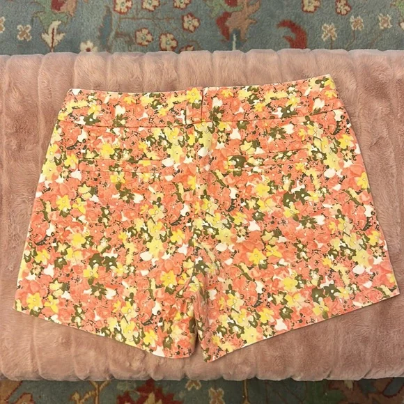 🇺🇸2 for $20🇺🇸 EUC J Crew Factory shorts, side zip, size 6 - Picture 2 of 9